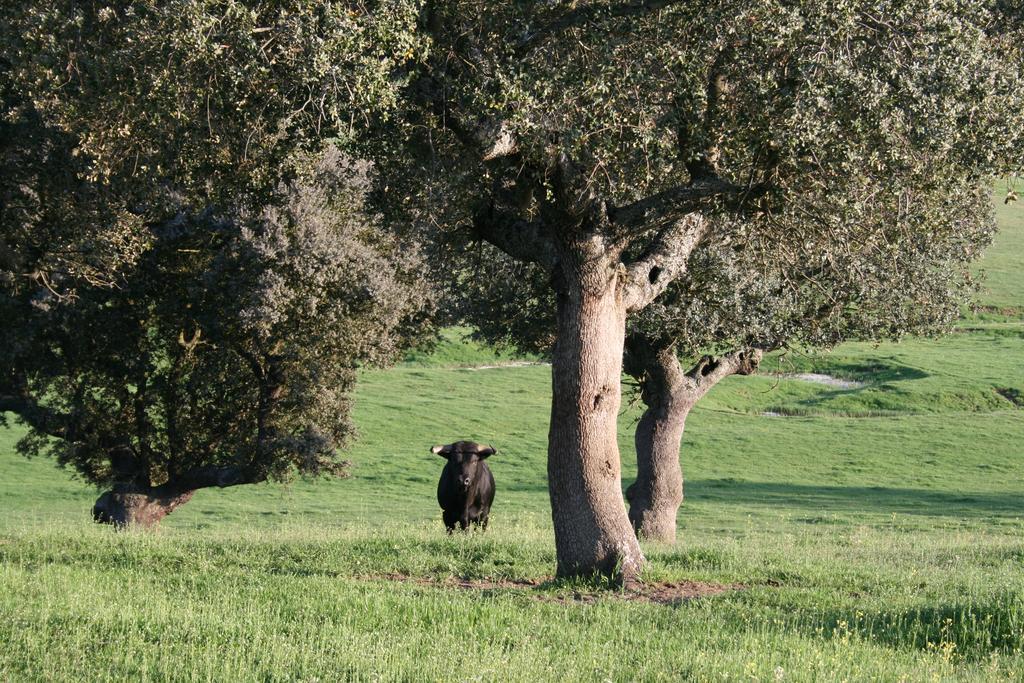 Casa Rural Puente Mocho Ledesma Dış mekan fotoğraf